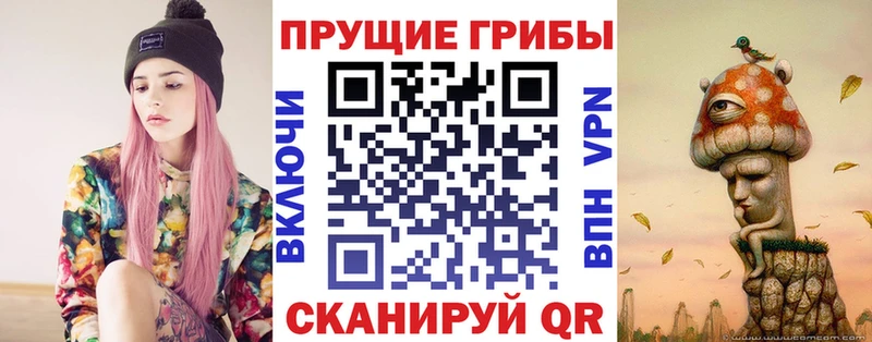 купить   Ликино-Дулёво  Псилоцибиновые грибы Psilocybe 